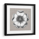 Rosetón Neutro Detalle Vi - Vision Studio | Cuadro decorativo de Canvas Lab