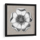 Rosetón Neutro Detalle Vi - Vision Studio | Cuadro decorativo de Canvas Lab
