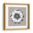 Rosetón Neutro Detalle Vi - Vision Studio | Cuadro decorativo de Canvas Lab