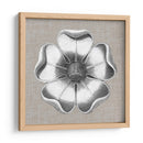 Rosetón Neutro Detalle Vi - Vision Studio | Cuadro decorativo de Canvas Lab
