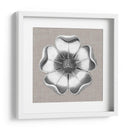 Rosetón Neutro Detalle Vi - Vision Studio | Cuadro decorativo de Canvas Lab