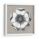 Rosetón Neutro Detalle Vi - Vision Studio | Cuadro decorativo de Canvas Lab