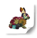 Bunny - Designs by Andrea | Cuadro decorativo de Canvas Lab