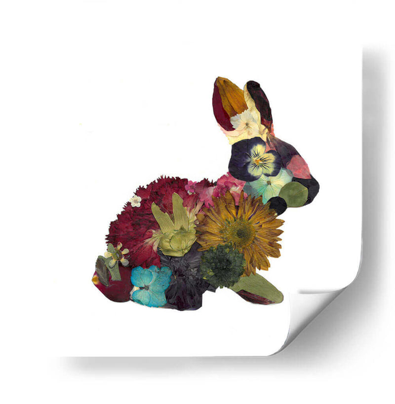Bunny - Designs by Andrea | Cuadro decorativo de Canvas Lab