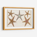 Starfish Naturelle I - Denis Diderot | Cuadro decorativo de Canvas Lab