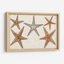 Starfish Naturelle I - Denis Diderot | Cuadro decorativo de Canvas Lab
