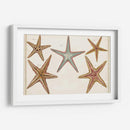 Starfish Naturelle I - Denis Diderot | Cuadro decorativo de Canvas Lab