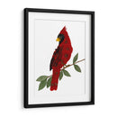Cardinal - Designs by Andrea | Cuadro decorativo de Canvas Lab