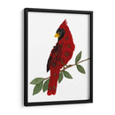 Cardinal - Designs by Andrea | Cuadro decorativo de Canvas Lab