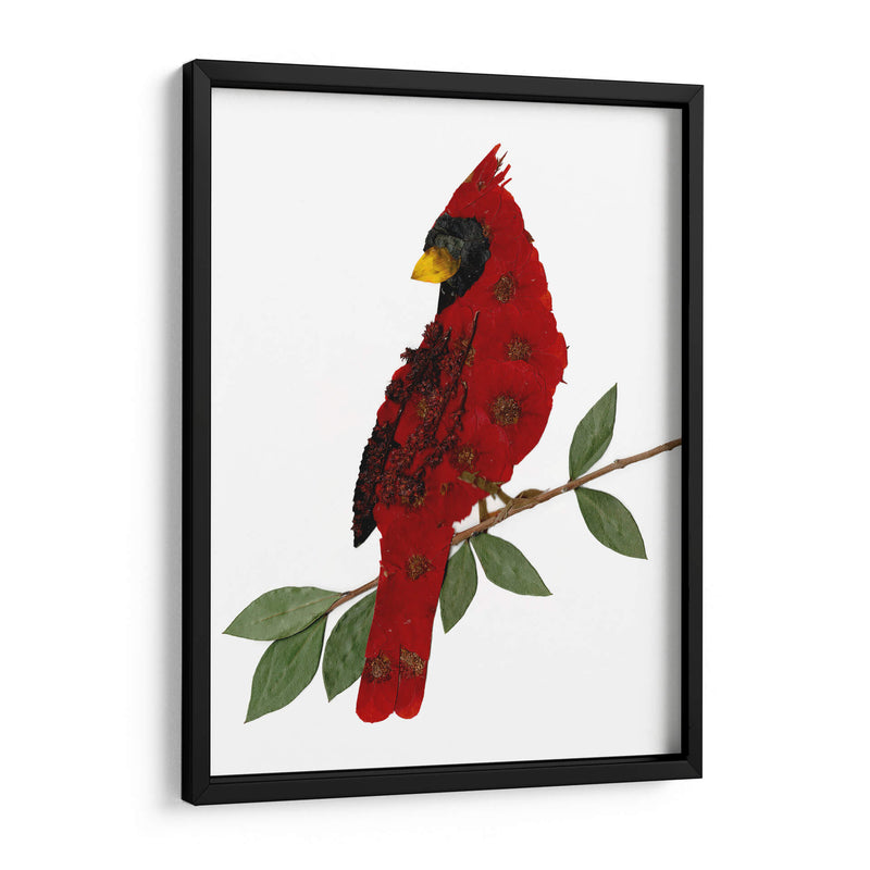 Cardinal - Designs by Andrea | Cuadro decorativo de Canvas Lab