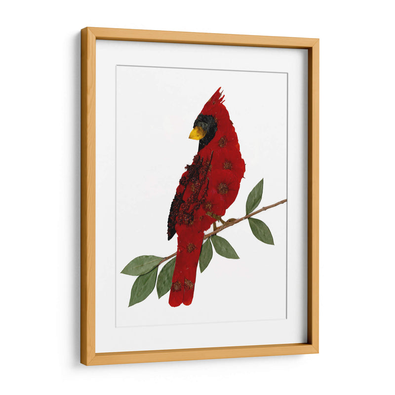 Cardinal - Designs by Andrea | Cuadro decorativo de Canvas Lab