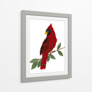 Cardinal - Designs by Andrea | Cuadro decorativo de Canvas Lab