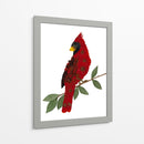 Cardinal - Designs by Andrea | Cuadro decorativo de Canvas Lab