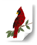 Cardinal - Designs by Andrea | Cuadro decorativo de Canvas Lab