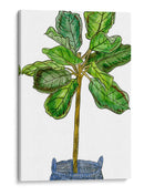 Jungla En Maceta Iv - Melissa Wang | Cuadro decorativo de Canvas Lab