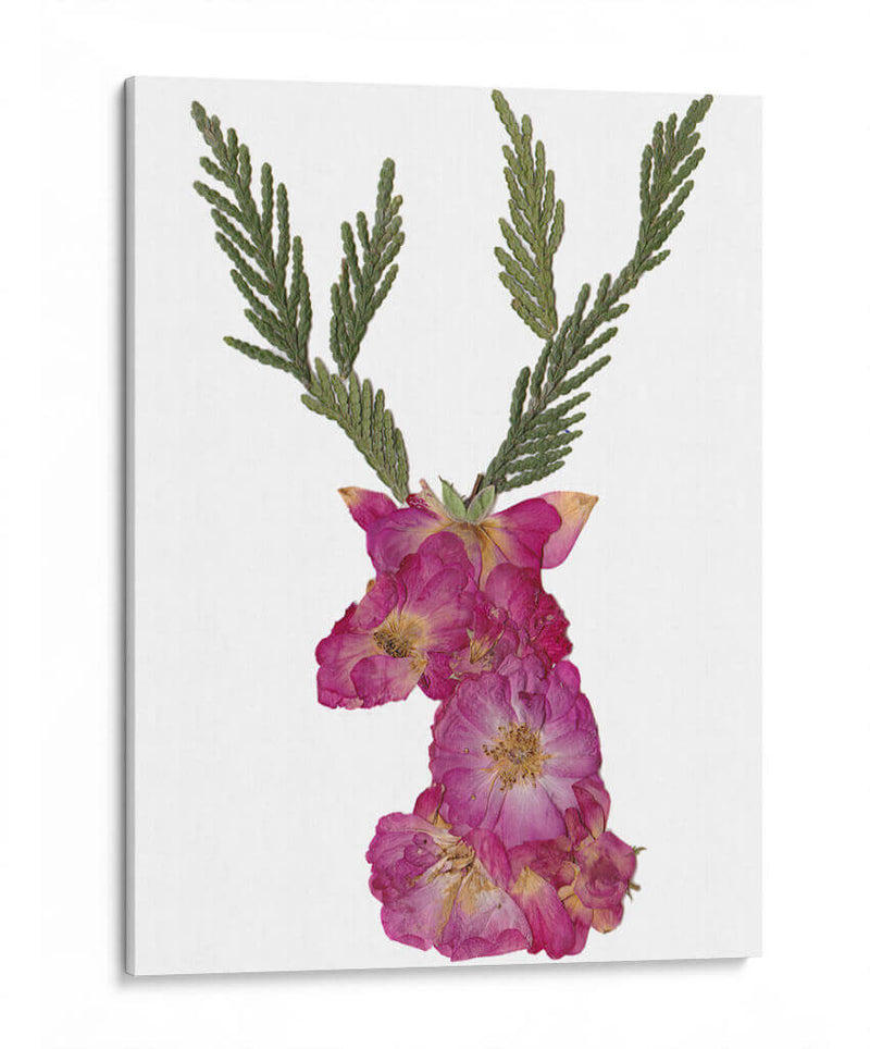 Deer - Designs by Andrea | Cuadro decorativo de Canvas Lab