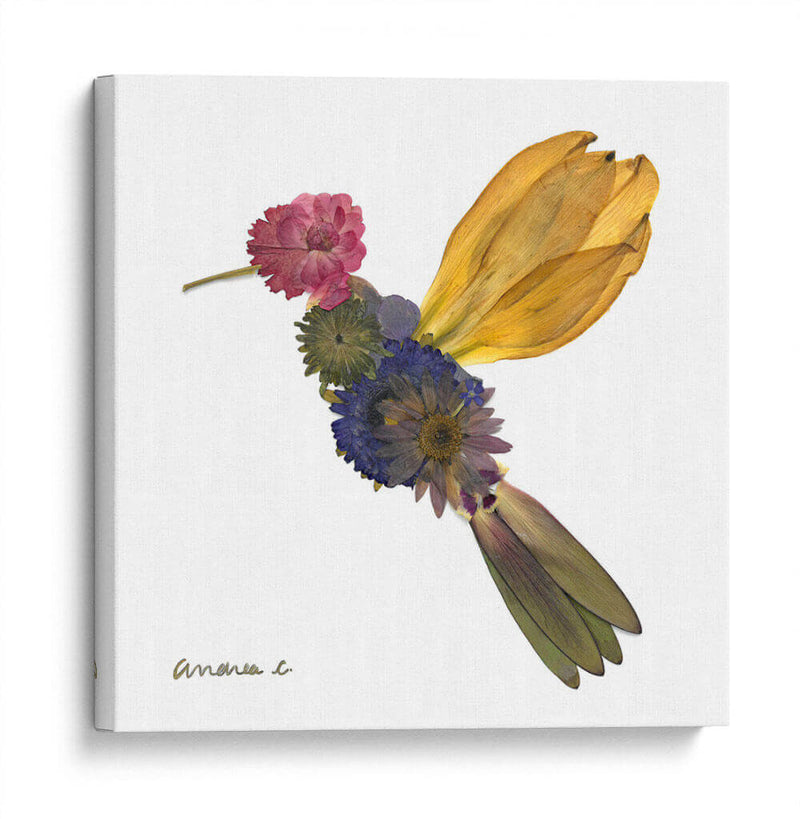 Hummingbird - Designs by Andrea | Cuadro decorativo de Canvas Lab