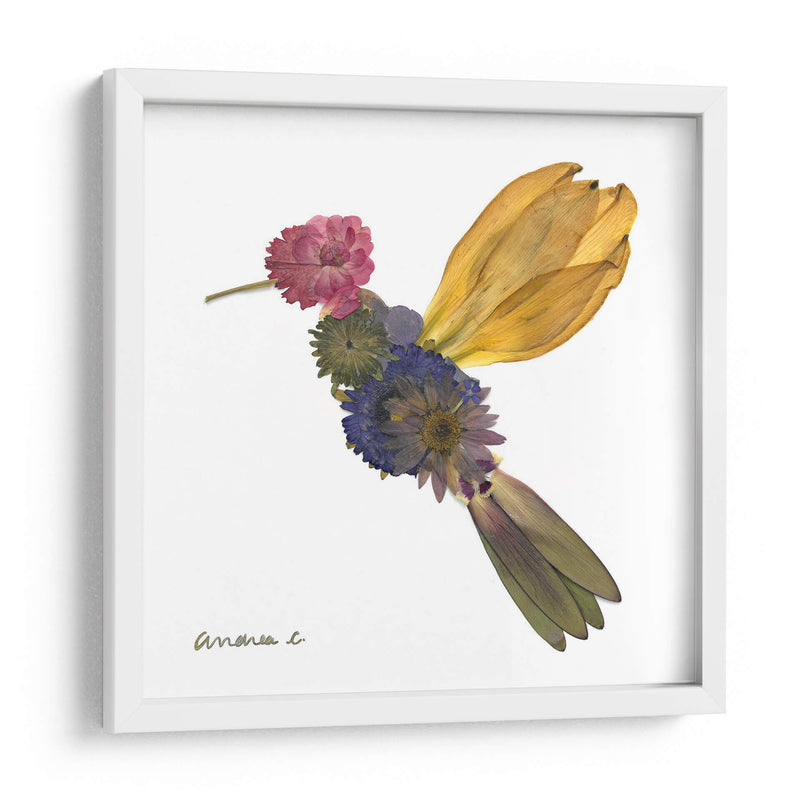 Hummingbird - Designs by Andrea | Cuadro decorativo de Canvas Lab