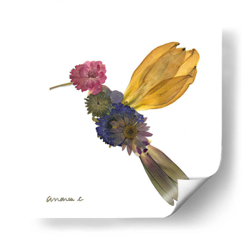 Hummingbird - Designs by Andrea | Cuadro decorativo de Canvas Lab