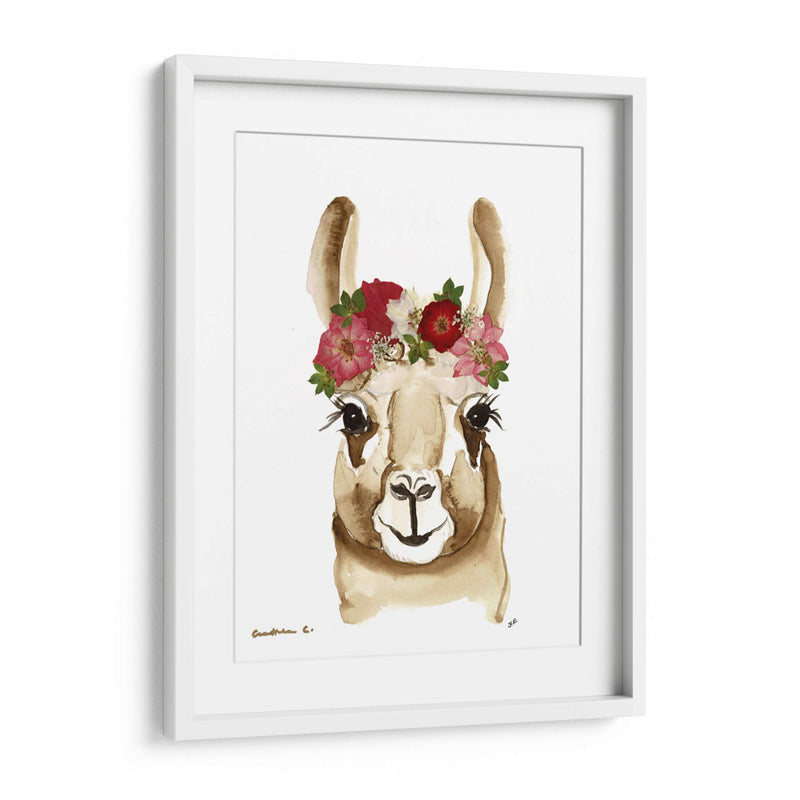 Llama - Designs by Andrea | Cuadro decorativo de Canvas Lab
