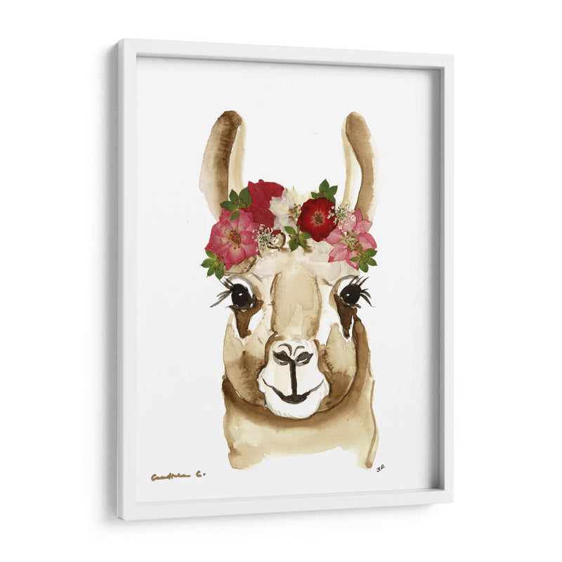 Llama - Designs by Andrea | Cuadro decorativo de Canvas Lab