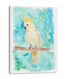 Pájaro Tropical Dulce Ii - Regina Moore | Cuadro decorativo de Canvas Lab