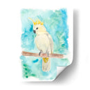 Pájaro Tropical Dulce Ii - Regina Moore | Cuadro decorativo de Canvas Lab