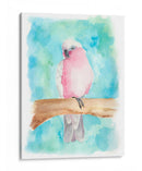 Pájaro Tropical Dulce Iii - Regina Moore | Cuadro decorativo de Canvas Lab