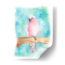 Pájaro Tropical Dulce Iii - Regina Moore | Cuadro decorativo de Canvas Lab