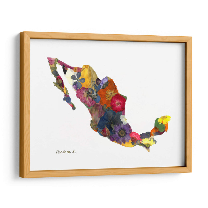 Mexico - Designs by Andrea | Cuadro decorativo de Canvas Lab