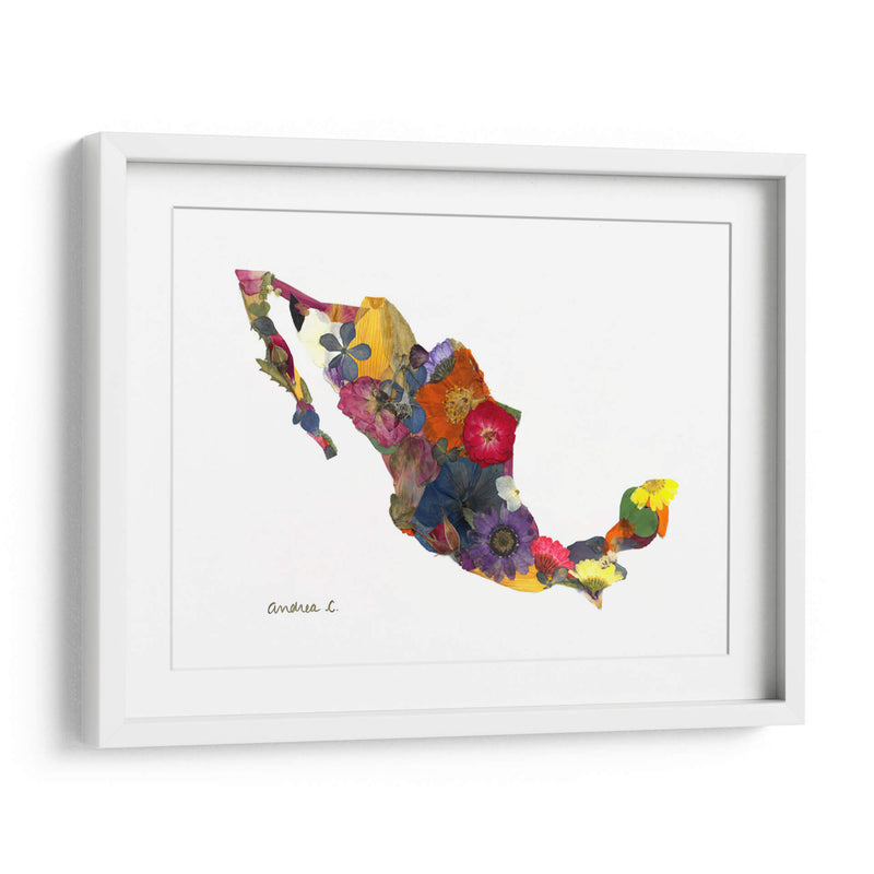 Mexico - Designs by Andrea | Cuadro decorativo de Canvas Lab