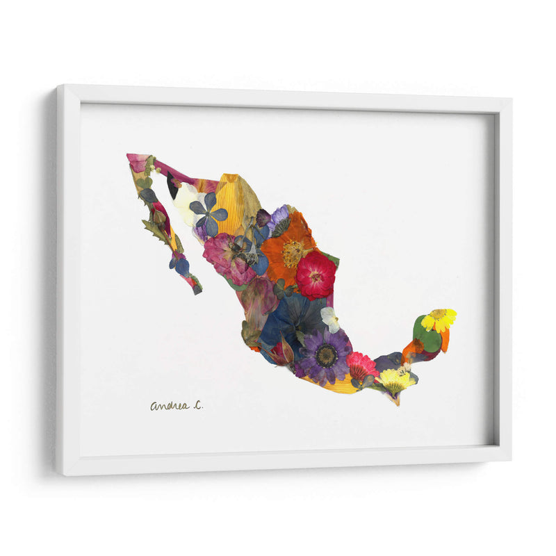 Mexico - Designs by Andrea | Cuadro decorativo de Canvas Lab