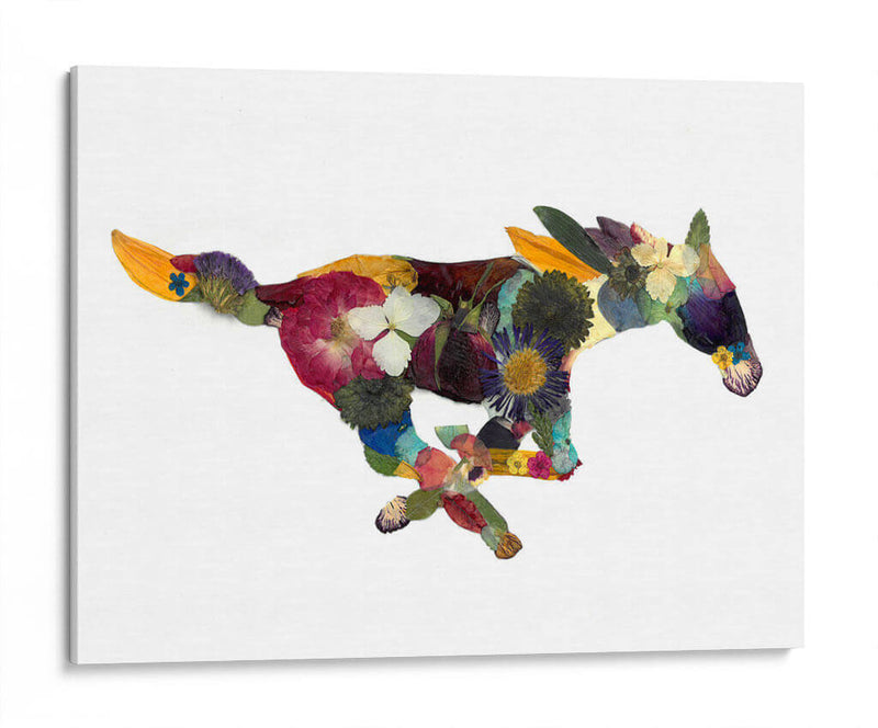 Mustang - Designs by Andrea | Cuadro decorativo de Canvas Lab