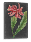 Tropicales Dramáticos Yo - Vision Studio | Cuadro decorativo de Canvas Lab