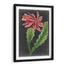 Tropicales Dramáticos Yo - Vision Studio | Cuadro decorativo de Canvas Lab