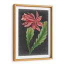 Tropicales Dramáticos Yo - Vision Studio | Cuadro decorativo de Canvas Lab