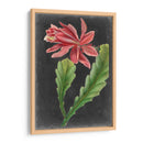 Tropicales Dramáticos Yo - Vision Studio | Cuadro decorativo de Canvas Lab