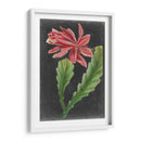 Tropicales Dramáticos Yo - Vision Studio | Cuadro decorativo de Canvas Lab