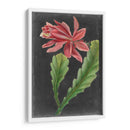 Tropicales Dramáticos Yo - Vision Studio | Cuadro decorativo de Canvas Lab