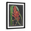 Tropicales Dramáticos Ii - Vision Studio | Cuadro decorativo de Canvas Lab