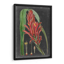 Tropicales Dramáticos Ii - Vision Studio | Cuadro decorativo de Canvas Lab