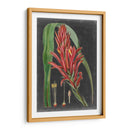 Tropicales Dramáticos Ii - Vision Studio | Cuadro decorativo de Canvas Lab