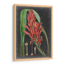 Tropicales Dramáticos Ii - Vision Studio | Cuadro decorativo de Canvas Lab