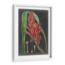 Tropicales Dramáticos Ii - Vision Studio | Cuadro decorativo de Canvas Lab