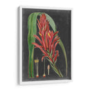Tropicales Dramáticos Ii - Vision Studio | Cuadro decorativo de Canvas Lab