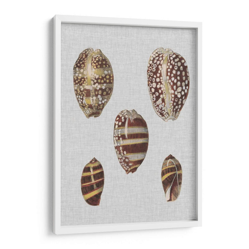 Pantalla De Cáscara Ii - Denis Diderot | Cuadro decorativo de Canvas Lab