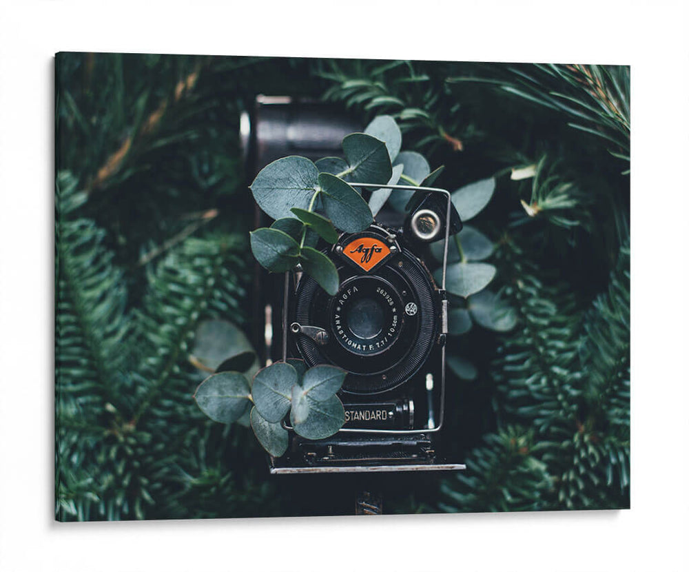 Agfa | Cuadro decorativo de Canvas Lab