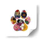 Paw - Designs by Andrea | Cuadro decorativo de Canvas Lab