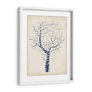 Indigo Coral Ii - Vision Studio | Cuadro decorativo de Canvas Lab