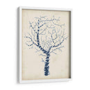 Indigo Coral Ii - Vision Studio | Cuadro decorativo de Canvas Lab